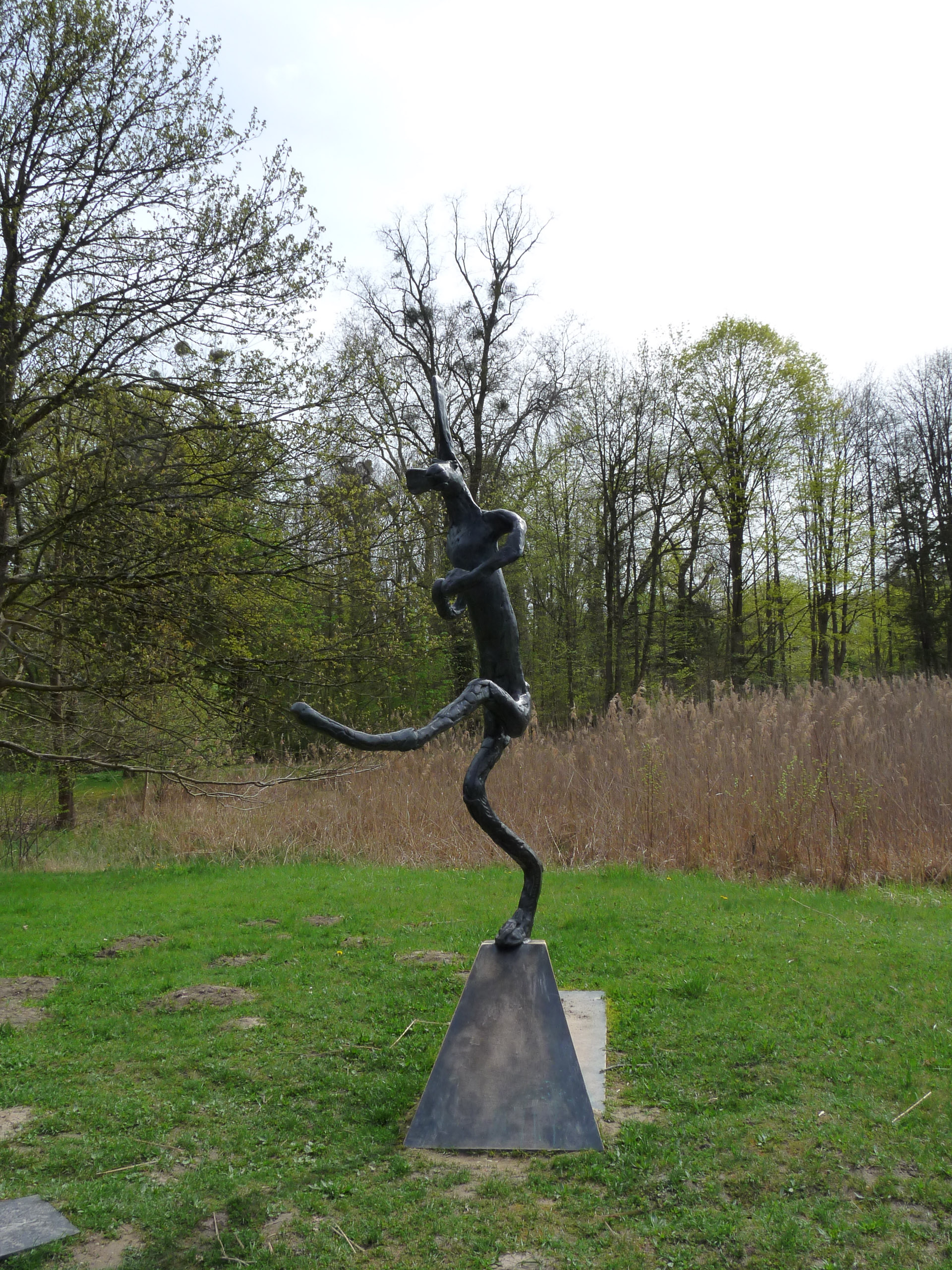 20180414153356 P1110068